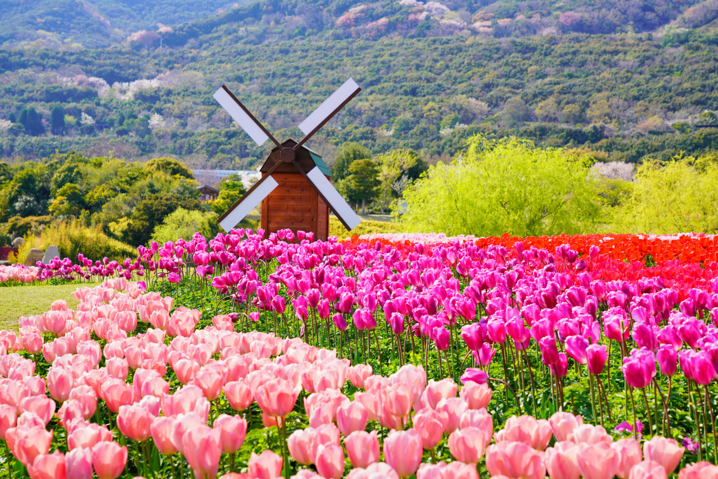 兵庫の定番・姫路発ドライブ!姫路城と淡路島を巡る、1泊2日モデルコース
