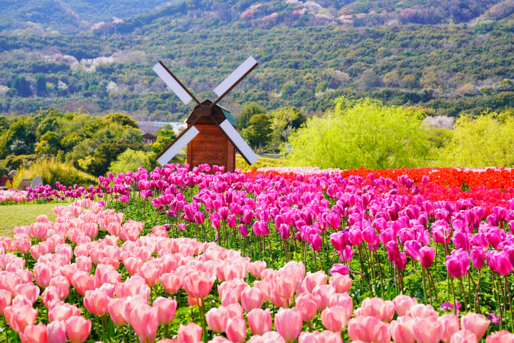 兵庫の定番・姫路発ドライブ!姫路城と淡路島を巡る、1泊2日モデルコース