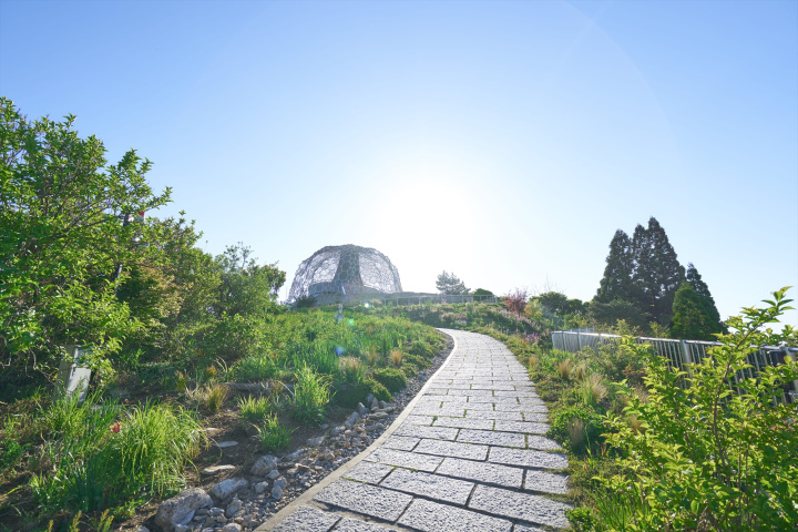 六甲山ドライブ