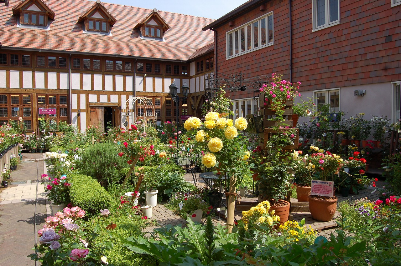 【2泊3日】こだわりのテーマパークめぐり