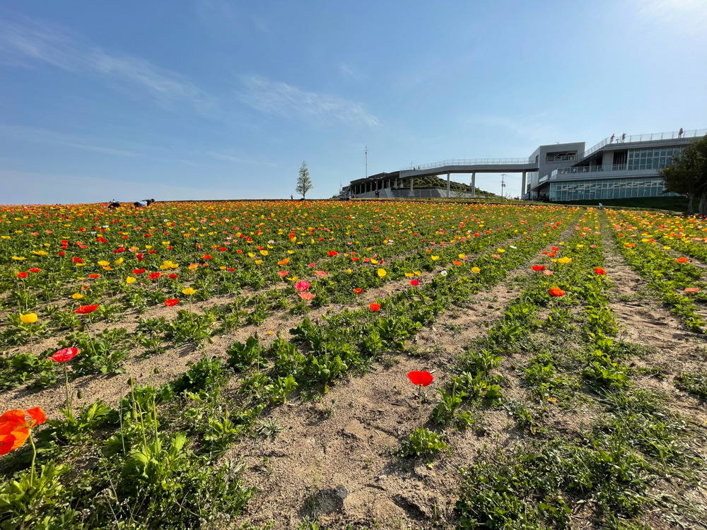 「明石海峡大橋」から注目エリアの淡路島西海岸をドライブで楽しむ