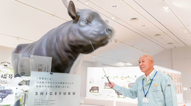 新温泉町 - 但馬牛