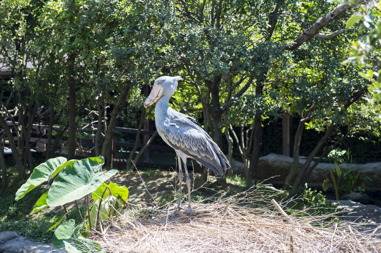 Ⓒ一般財団法人神戸観光局