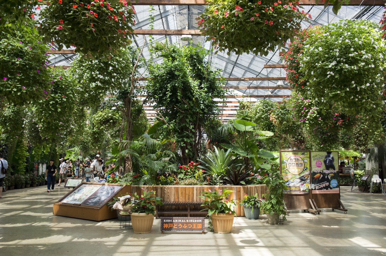 Ⓒ一般財団法人神戸観光局