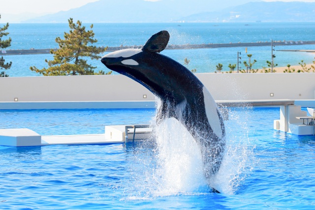 神戸須磨シーワールド