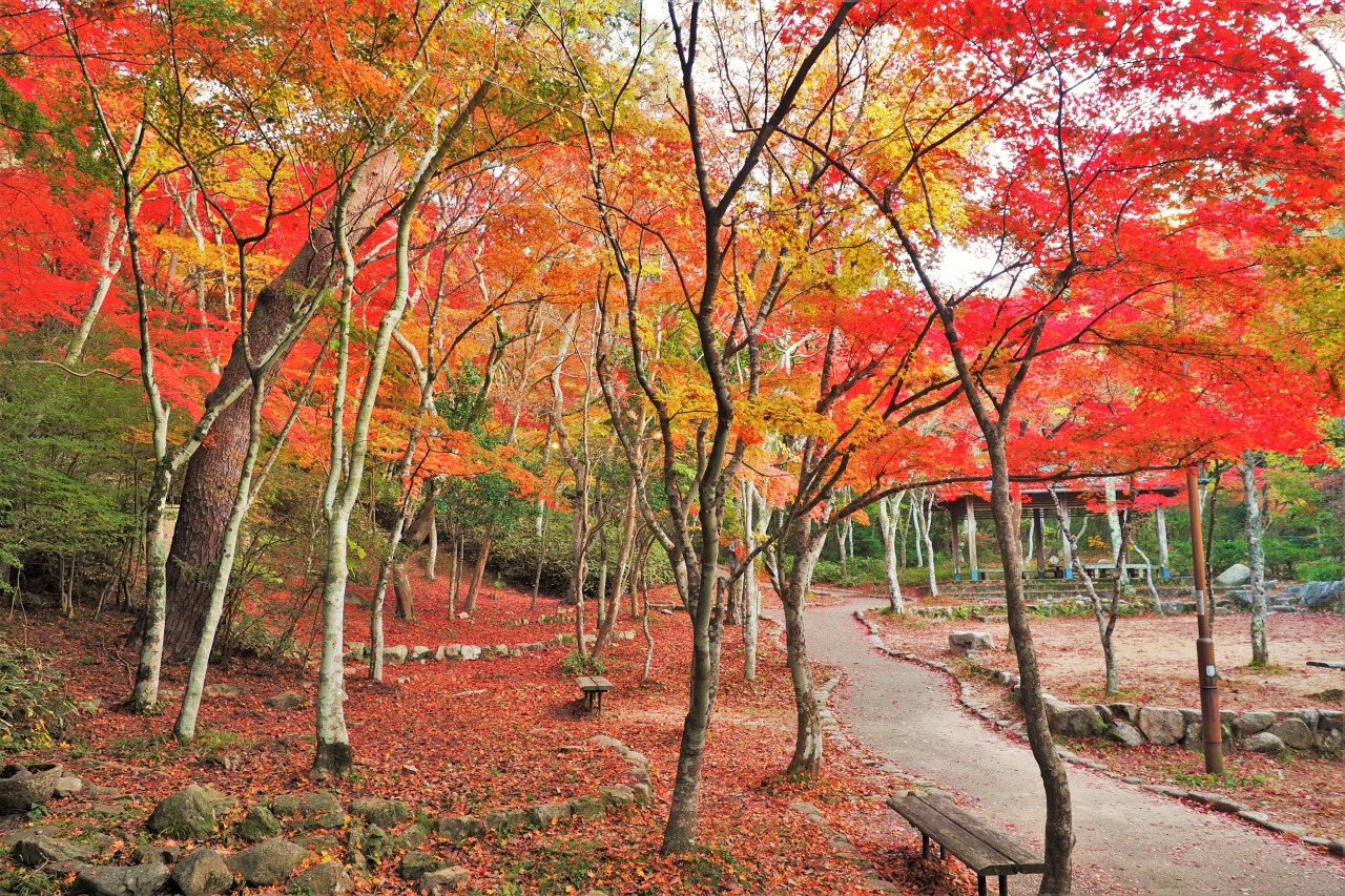 Ⓒ一般財団法人神戸観光局