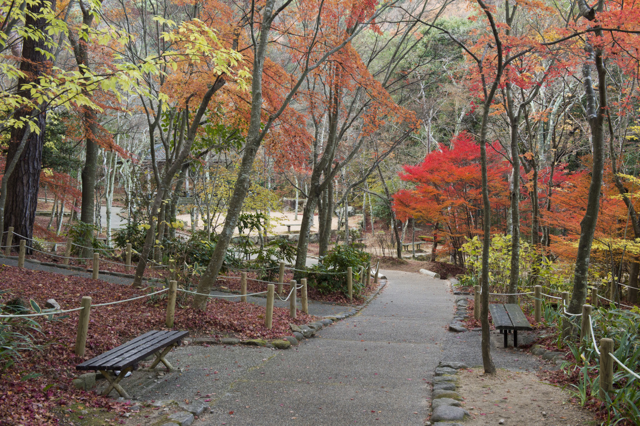 Ⓒ一般財団法人神戸観光局