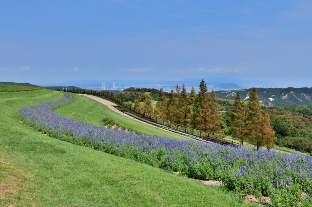 あわじ花さじき