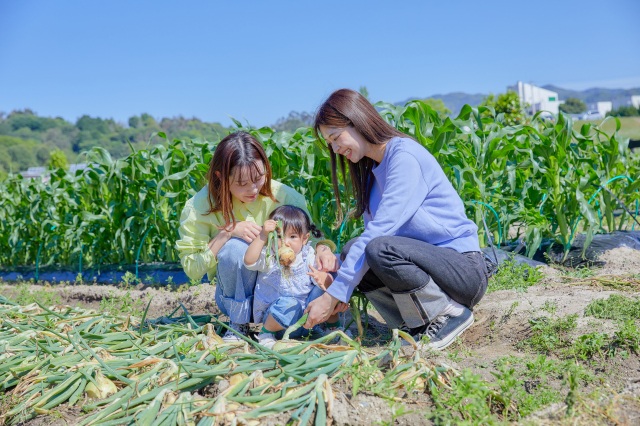淡路ファームパーク イングランドの丘