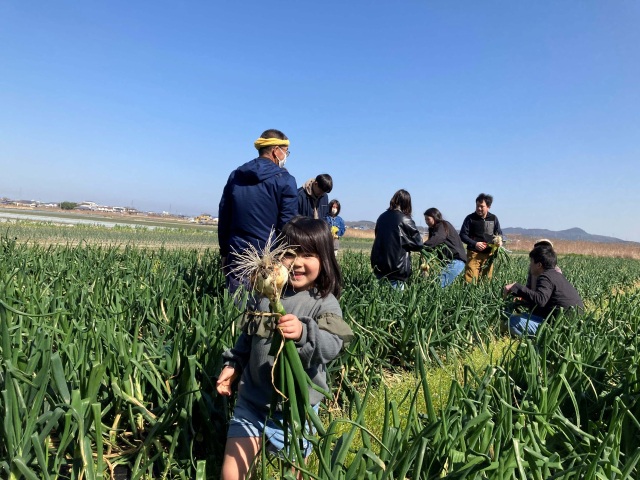『淡路島たまねぎ』ほんまもん観光農業体験