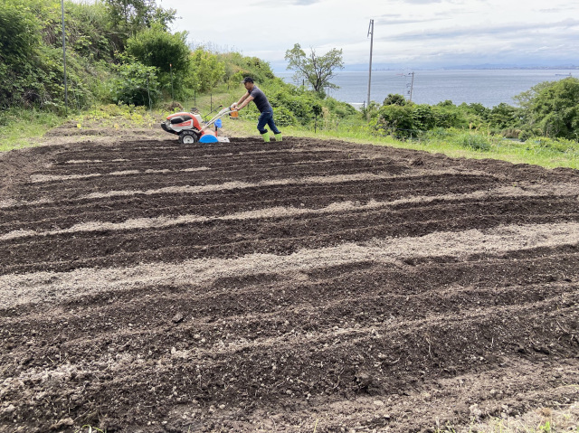 淡路島ぐるめ屋ファーム(Awajishima Gourmet Farm)