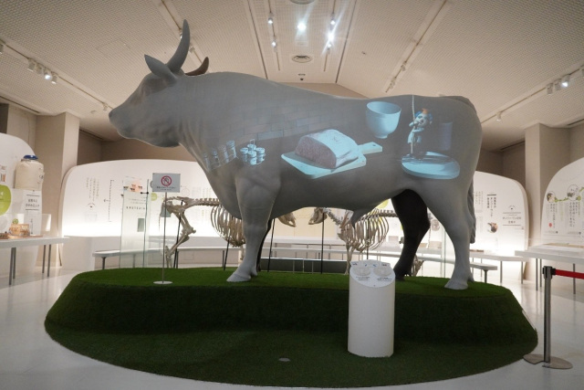 知りたい、食べたい、触れてみたい!黒毛和牛のルーツ・但馬牛