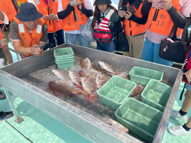 船上で漁を楽しむ。捌きたての魚&家島諸島クルーズ