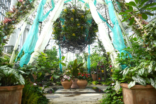 サマーガーデン ~植物を学ぼう!楽しもう!~