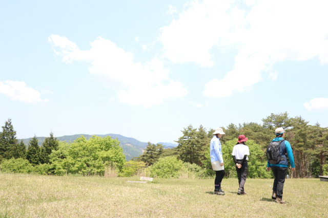 【東山 編】風の音に、心がほどける。森の頂で深呼吸。~秋の…